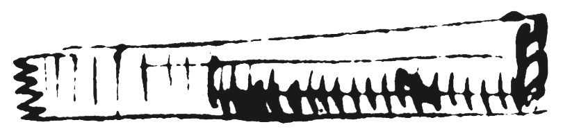 Figure 8.50. Dacota hide-fleshing tool.