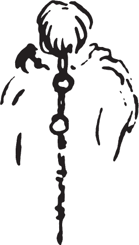 Figure 9.1. Dactoa man with ornamented braid.