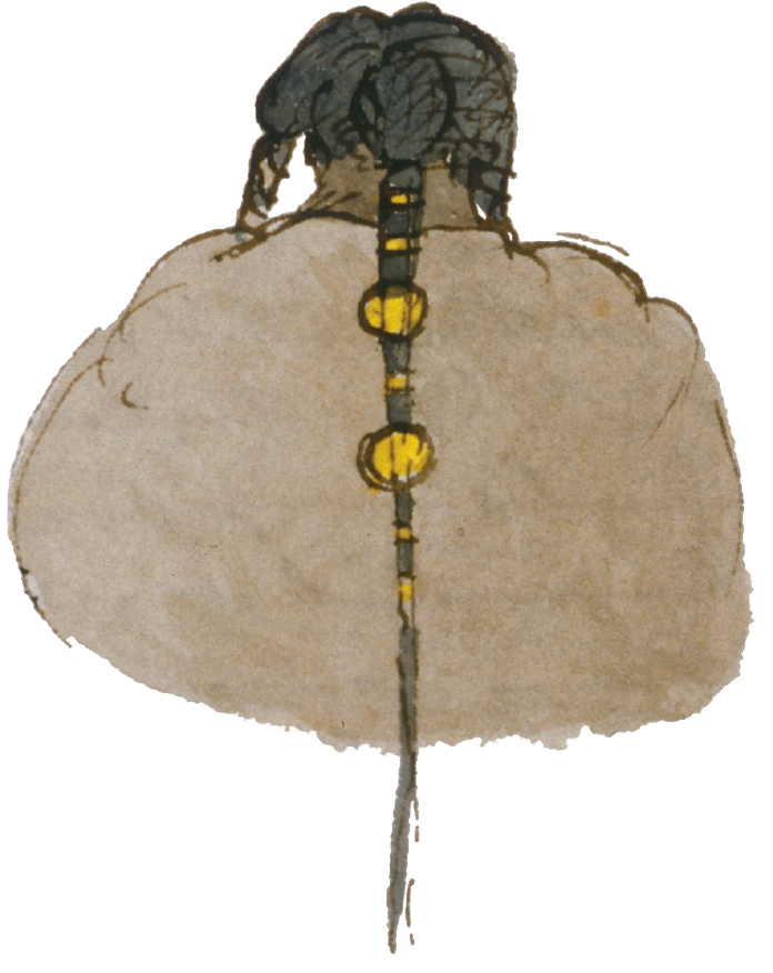 Figure 9.4. Dacota man with ornamented braid.