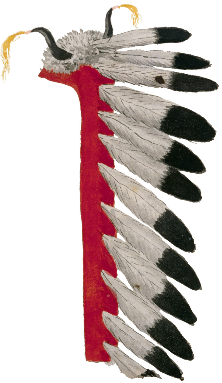 Figure 9.5. Warbonnet with buffalo horns.