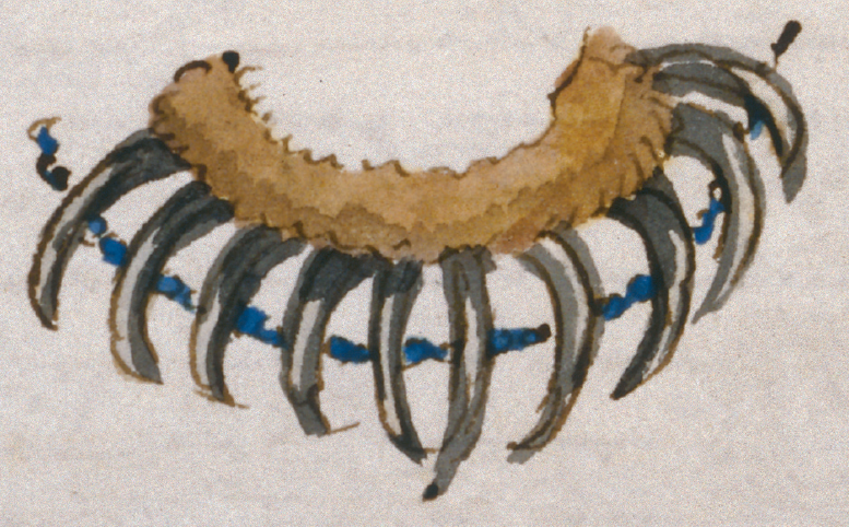 Figure 9.21. Bear claw necklace.