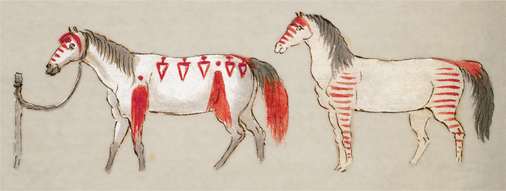 Figure 12.3. Piegan painted horses.